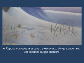 A Raposa começou a escavar, a escavar… até que encontrou um pequeno ouriço-cacheiro 