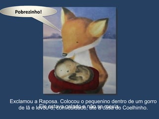 Ele estava gelado e não se mexia. Exclamou a Raposa. Colocou o pequenino dentro de um gorro de lã e levou-o, com cuidado, até à casa do Coelhinho. Pobrezinho! 