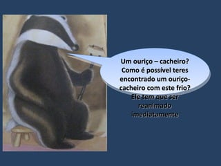 Um ouriço – cacheiro? Como é possível teres encontrado um ouriço-cacheiro com este frio? Ele tem que ser reanimado imediatamente 