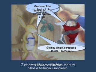 É o meu amigo, o Pequeno Ouriço – Cacheiro! Gritou o coelhinho Talvez se tenha perdido quando tentava regressar a casa! Que bom! Este cobertor é tão quentinho… O pequeno Ouriço – Cacheiro abriu os olhos e balbuciou sonolento  