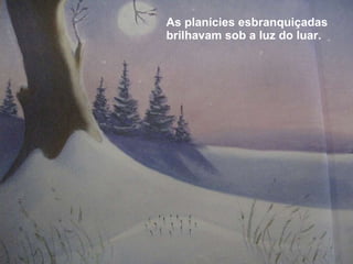 As planícies esbranquiçadas brilhavam sob a luz do luar. 