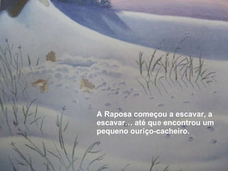 A Raposa começou a escavar, a escavar… até que encontrou um pequeno ouriço-cacheiro. 