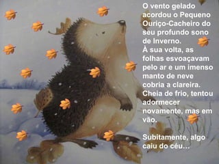 O vento gelado acordou o Pequeno Ouriço-Cacheiro do seu profundo sono de Inverno. À sua volta, as folhas esvoaçavam pelo ar e um imenso manto de neve cobria a clareira. Cheia de frio, tentou adormecer novamente, mas em vão. Subitamente, algo caiu do céu… 