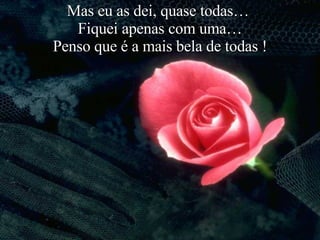 Mas eu as dei, quase todas…  Fiquei apenas com uma… Penso que é a mais bela de todas ! 