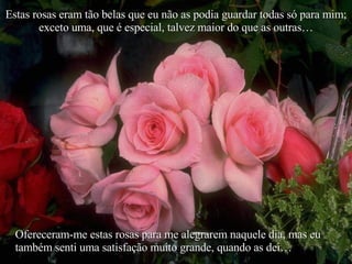 Estas rosas eram tão belas que eu não as podia guardar todas só para mim; exceto uma, que é especial, talvez maior do que as outras… Ofereceram-me estas rosas para me alegrarem naquele dia, mas eu também senti uma satisfação muito grande, quando as dei… 