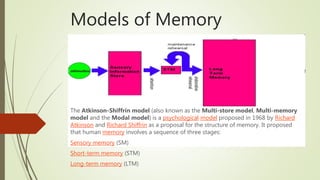 How to improve your memory | PPTX