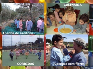 Apanha de azeitona Co cegas com flores CULINARIA CORRIDAS 