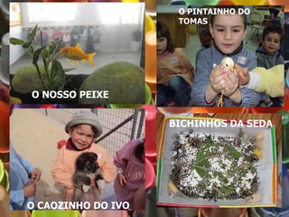 O NOSSO PEIXE O CAOZINHO DO IVO BICHINHOS DA SEDA O PINTAINHO DO TOMAS 