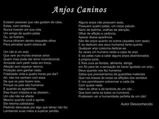 Existem pessoas que não gostam de cães,
Estas, com certeza,
Nunca tiveram em sua vida
Um amigo de quatro patas
Ou, se tiveram,
Nunca olharam dentro daqueles olhos
Para perceber quem estava ali.
Um cão é um anjo
Que vem ao mundo ensinar amor.
Quem mais pode dar amor incondicional,
Amizade sem pedir nada em troca,
Afeição sem esperar retorno,
Proteção sem ganhar nada,
Fidelidade vinte e quatro horas por dia?
Ah, não me venham com essa
De que os pais fazem isso,
Porque os pais são humanos
E quando os agredimos
Eles ficam irritados e se afastam...
Um cão não se afasta
Mesmo quando você o agride,
Ele retorna cabisbaixo
Pedindo desculpas por algo que talvez não fez
Lambendo suas mãos a suplicar perdão.
Alguns anjos não possuem asas,
Possuem quatro patas, um corpo peludo,
Nariz de bolinha, orelhas de atenção,
Olhar de aflição e carência.
Apesar dessa aparência,
São tão anjos quanto os outros (aqueles com asas)
E se dedicam aos seus humanos tanto quanto
Qualquer anjo costuma dedicar-se.
Às vezes um humano veste a capa de anjo
E sai pelas ruas a catar alguns anjos abandonados
à própria sorte,
E lhes cura as feridas, alimenta, abriga
em Só para ter a sensação de haver ajudado um anjo...
Deus quando nos fez humanos
Sabia que precisaríamos de guardiões materiais
Que nos tirasse do corpo as aflições dos sentidos
E nos permitissem sobreviver a cada dia
Com quase nada
Além do olhar e da lambida de um cão...
Que bom seria se todos os humanos
Pudessem ver a humanidade perfeita de um cão!
Autor Desconhecido
Anjos Caninos
 