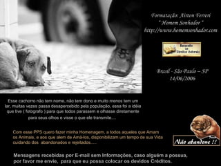 Esse cachorro não tem nome, não tem dono e muito menos tem um
lar, muitas vezes passa desapercebido pela população, essa foi a idéia
que tive ( fotografo ) para que todos parassem e olhasse diretamente
para seus olhos e visse o que ele transmite....
Formatação: Airton Ferreri
“ Homem Sonhador “
http://www.homemsonhador.com
Brasil - São Paulo – SP
14/06/2006
Mensagens recebidas por E-mail sem Informações, caso alguém a possua,
por favor me envie, para que eu possa colocar os devidos Créditos.
Com esse PPS quero fazer minha Homenagem, a todos aqueles que Amam
os Animais, e aos que alem de Amá-los, disponibilizam um tempo de sua Vida
cuidando dos abandonados e rejeitados.....
 