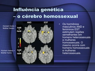 Influência genética  – o cérebro homossexual Os hormônios masculinos AND e femininos EST estimulam regiões semelhantes em homens heterossexuais e mulheres homossexuais. O mesmo ocorre com homens homossexuais e mulheres heterossexuais. Homem homo + Mulher hetero Homem hetero + Mulher homo 