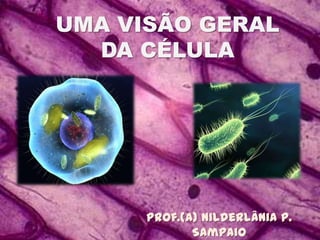 UMA VISÃO GERAL
DA CÉLULA
Prof.(a) Nilderlânia P.
Sampaio
 