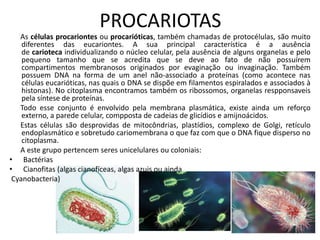 PROCARIOTAS
As células procariontes ou procarióticas, também chamadas de protocélulas, são muito
diferentes das eucariontes. A sua principal característica é a ausência
de carioteca individualizando o núcleo celular, pela ausência de alguns organelas e pelo
pequeno tamanho que se acredita que se deve ao fato de não possuírem
compartimentos membranosos originados por evaginação ou invaginação. Também
possuem DNA na forma de um anel não-associado a proteínas (como acontece nas
células eucarióticas, nas quais o DNA se dispõe em filamentos espiralados e associados à
histonas). No citoplasma encontramos também os ribossomos, organelas respponsaveis
pela síntese de proteínas.
Todo esse conjunto é envolvido pela membrana plasmática, existe ainda um reforço
externo, a parede celular, compposta de cadeias de glicídios e amijnoácidos.
Estas células são desprovidas de mitocôndrias, plastídios, complexo de Golgi, retículo
endoplasmático e sobretudo cariomembrana o que faz com que o DNA fique disperso no
citoplasma.
A este grupo pertencem seres unicelulares ou coloniais:
• Bactérias
• Cianofitas (algas cianofíceas, algas azuis ou ainda
Cyanobacteria)
 
