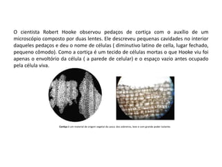 O cientista Robert Hooke observou pedaços de cortiça com o auxílio de um
microscópio composto por duas lentes. Ele descreveu pequenas cavidades no interior
daqueles pedaços e deu o nome de células ( diminutivo latino de cella, lugar fechado,
pequeno cômodo). Como a cortiça é um tecido de células mortas o que Hooke viu foi
apenas o envoltório da célula ( a parede de celular) e o espaço vazio antes ocupado
pela célula viva.
Cortiça é um material de origem vegetal da casca dos sobreiros, leve e com grande poder isolante.
 