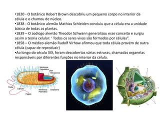 •1820 - O botânico Robert Brown descobriu um pequeno corpo no interior da
célula e o chamou de núcleo.
•1838 - O botânico alemão Mathias Schleiden concluiu que a célula era a unidade
básica de todas as plantas.
•1839 – O zoólogo alemão Theodor Schwann generalizou esse conceito e surgiu
assim a teoria celular: ‘ Todos os seres vivos são formados por células”.
•1858 – O médico alemão Rudolf Virhow afirmou que toda célula provém de outra
célula (capaz de reproduzir)
•Ao longo do século XIX, foram descobertas várias estruras, chamadas organelas
responsáveis por diferentes funções no interior da célula.
 