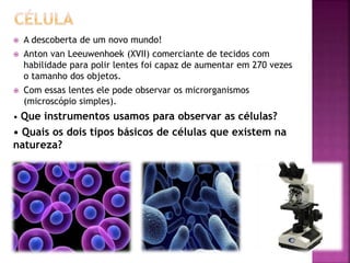  A descoberta de um novo mundo!
 Anton van Leeuwenhoek (XVII) comerciante de tecidos com
habilidade para polir lentes foi capaz de aumentar em 270 vezes
o tamanho dos objetos.
 Com essas lentes ele pode observar os microrganismos
(microscópio simples).
• Que instrumentos usamos para observar as células?
• Quais os dois tipos básicos de células que existem na
natureza?
 