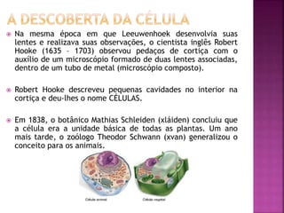  Na mesma época em que Leeuwenhoek desenvolvia suas
lentes e realizava suas observações, o cientista inglês Robert
Hooke (1635 – 1703) observou pedaços de cortiça com o
auxílio de um microscópio formado de duas lentes associadas,
dentro de um tubo de metal (microscópio composto).
 Robert Hooke descreveu pequenas cavidades no interior na
cortiça e deu-lhes o nome CÉLULAS.
 Em 1838, o botânico Mathias Schleiden (xláiden) concluiu que
a célula era a unidade básica de todas as plantas. Um ano
mais tarde, o zoólogo Theodor Schwann (xvan) generalizou o
conceito para os animais.
 