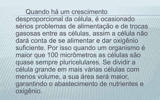 Quando há um crescimento
desproporcional da célula, é ocasionado
sérios problemas de alimentação e de trocas
gasosas entre as células, assim a célula não
dará conta de se alimentar e dar oxigênio
suficiente. Por isso quando um organismo é
maior que 100 micrômetros as células são
quase sempre pluricelulares. Se dividir a
célula grande em mais várias células com
menos volume, a sua área será maior,
garantindo o abastecimento de nutrientes e
oxigênio.
 