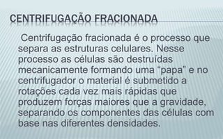 CENTRIFUGAÇÃO FRACIONADA
Centrifugação fracionada é o processo que
separa as estruturas celulares. Nesse
processo as células são destruídas
mecanicamente formando uma “papa” e no
centrifugador o material é submetido a
rotações cada vez mais rápidas que
produzem forças maiores que a gravidade,
separando os componentes das células com
base nas diferentes densidades.
 