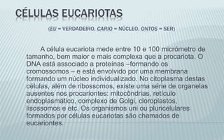 CÉLULAS EUCARIOTAS
(EU = VERDADEIRO, CARIO = NÚCLEO, ONTOS = SER)
A célula eucariota mede entre 10 e 100 micrómetro de
tamanho, bem maior e mais complexa que a procariota. O
DNA está associado a proteínas –formando os
cromossomos – e está envolvido por uma membrana
formando um núcleo individualizado. No citoplasma destas
células, além de ribossomos, existe uma série de organelas
ausentes nos procariontes: mitocôndrias, retículo
endoplasmático, complexo de Golgi, cloroplastos,
lisossomos e etc. Os organismos uni ou pluricelulares
formados por células eucariotas são chamados de
eucariontes.
 