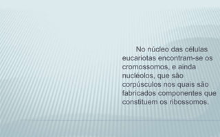 No núcleo das células
eucariotas encontram-se os
cromossomos, e ainda
nucléolos, que são
corpúsculos nos quais são
fabricados componentes que
constituem os ribossomos.
 