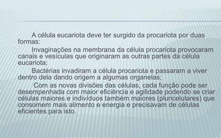 A célula eucariota deve ter surgido da procariota por duas
formas:
Invaginações na membrana da célula procariota provocaram
canais e vesículas que originaram as outras partes da célula
eucariota;
Bactérias invadiram a célula procariota e passaram a viver
dentro dela dando origem a algumas organelas;
Com as novas divisões das células, cada função pode ser
desempenhada com maior eficiência e agilidade podendo se criar
células maiores e indivíduos também maiores (pluricelulares) que
consomem mais alimento e energia e precisavam de células
eficientes para isto.
 