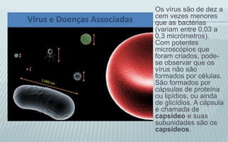 Os vírus são de dez a
cem vezes menores
que as bactérias
(variam entre 0,03 a
0,3 micrómetros).
Com potentes
microscópios que
foram criados, pode-
se observar que os
vírus não são
formados por células.
São formados por
cápsulas de proteína
ou lipídios, ou ainda
de glicídios. A cápsula
é chamada de
capsídeo e suas
subunidades são os
capsídeos.
 