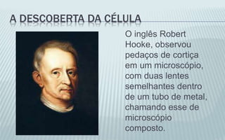 A DESCOBERTA DA CÉLULA
O inglês Robert
Hooke, observou
pedaços de cortiça
em um microscópio,
com duas lentes
semelhantes dentro
de um tubo de metal,
chamando esse de
microscópio
composto.
 