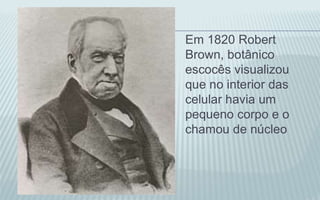 Em 1820 Robert
Brown, botânico
escocês visualizou
que no interior das
celular havia um
pequeno corpo e o
chamou de núcleo
 