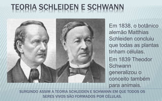 TEORIA SCHLEIDEN E SCHWANN
SURGINDO ASSIM A TEORIA SCHLEIDEN E SCHWANN EM QUE TODOS OS
SERES VIVOS SÃO FORMADOS POR CÉLULAS.
Em 1838, o botânico
alemão Matthias
Schleiden concluiu
que todas as plantas
tinham células.
Em 1839 Theodor
Schwann
generalizou o
conceito também
para animais.
 