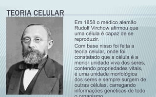 TEORIA CELULAR
Em 1858 o médico alemão
Rudolf Virchow afirmou que
uma célula é capaz de se
reproduzir.
Com base nisso foi feita a
teoria celular, onde foi
constatado que a célula é a
menor unidade viva dos seres,
contendo propriedades vitais,
é uma unidade morfológica
dos seres e sempre surgem de
outras células, carregando
informações genéticas de todo
 