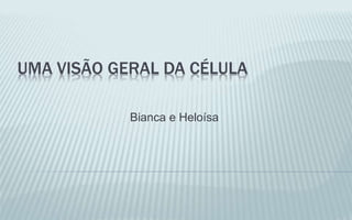 UMA VISÃO GERAL DA CÉLULA
Bianca e Heloísa
 
