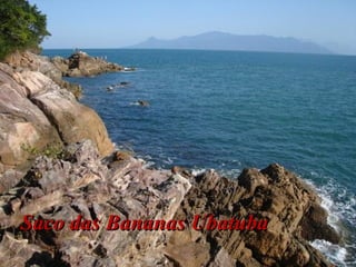 Saco das Bananas UbatubaSaco das Bananas Ubatuba
 