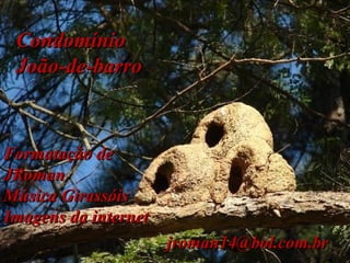 CondomínioCondomínio
João-de-barroJoão-de-barro
Formatação deFormatação de
JRomanJRoman
Música GirassóisMúsica Girassóis
Imagens da internetImagens da internet
jroman14@bol.com.brjroman14@bol.com.br
 