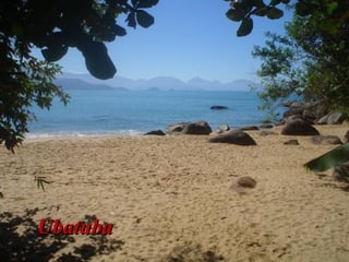 UbatubaUbatuba
 