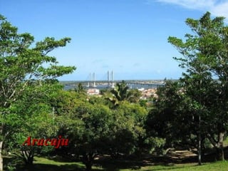 AracajuAracaju
 