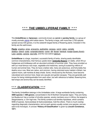 * * * THE UMBELLIFERAE FAMILY * * *


The Umbelliferae (or Apiaceae), commonly known as carrot or parsley family, is a group of
mostly aromatic plants with hollow stems. The family is large, with more than 3,700 species
spread across 434 genera, it is the sixteenth largest family of flowering plants. Included in this
family are the well known.

Plants: angelica, anise, arracacha, asafoetida, caraway, carrot, celery, centella
asiatica, chervil, cicely, coriander/cilantro, cumin, dill, fennel, hemlock, lovage,Queen Anne's
Lace, parsley, parsnip, sea holly, and the now extinct silphium.

Umbelliferae is a large, important, successful family of herbs, sharing easily identifiable
common characteristics, their famous upside down ‘Umbrella flowers’ on stalks, which fill our
hedgerows and bridleways with an abundant profusion of summer color. They have provided us
with our most famous root crops, vegetable and medicines, saving & sustaining millions of
human and animal lives. They do have a darker side, many are poisonous, and fortunately few
deaths occur now. Most are native, and common, having colonized every habitat in Britain, bar
upland moors, salt marshes & deep shade. Some, introduced by the Romans, have become
naturalized and common here, fewer are casuals and garden escapes. They are generally well
known for being indistinguishable from each other, but with reference to habitat, flowering time,
leaf shape and aroma they can be easily identified.



* * * CLASSIFICATION * * *
The family Umbellifers belongs in the Umbellales order. A large worldwide family containing
3000 species in 400 genera, concentrated in the N Northern temperate region. They are herbs,
but Bupleurum has a number of shrubby species, woody members occur in Africa, the largest is
Steganotaenia, a 12m high tree. The family contains sub families Apioideae, which contains
9096 of species. Saniculoideae & Hydrocotyloideae, hold the others. There is much overlap
regarding diagnostic characteristics, and so each genera usually contain one species, and are
said to be monotypic. A concise ‘History of Classification’ is given by Lincoln Constance,
1971.
 