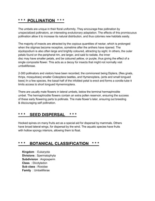 * * * POLLINATION * * *
The umbels are unique in their floral uniformity. They encourage free pollination by
unspecialized pollinators, an interesting evolutionary adaptation. The effects of this promiscuous
pollination allow it to increase its natural distribution, and thus colonies new habitats easily.

The majority of insects are attracted by the copious quantities of nectar, which is prolonged
when the stigmas become receptive, sometime after the anthers have ripened. The
styolopodium is also often large and brightly coloured, attracting by sight. In others, the outer
petals found on the peripheral rim, are larger, and said to radiate, the inner
disc may have smaller petals, and be coloured yellow, or purple, thus giving the effect of a
single composite flower. This acts as a decoy for insects that might not normally visit
umbellifereae.

2-300 pollinators and visitors have been recorded, the commonest being Diptera, (flies gnats,
thrips, mosquitoes) smaller Coleoptera beetles, and Hymenoptera, (ants and small tongued
bees) In a few species, the basal half of the infolded petal is erect and forms a corolla tube it
limits access to short tongued Hymemnoptera.

There are usually male flowers in lateral umbels, below the terminal hermaphrodite
umbel. The hermaphrodite flowers contain an extra pollen reservoir, ensuring the success
of these early flowering parts to pollinate. The male flower’s later, ensuring out breeding
& discouraging self pollination.



***      SEED DISPERSAL                    ***
Hooked spines on many fruits act as a special aid for dispersal by mammals. Others
have broad lateral wings, for dispersal by the wind. The aquatic species have fruits
with hollow spongy interiors, allowing them to float.



***      BOTANICAL CLASSIFICATION * * *
   Kingdom : Eukaryota
   Divisions : Spermatophyta
   Subdivision : Angiosperm
   Class : Dicotyledon
   Sub class : Rosidae
   Family : Umbelliferae
 