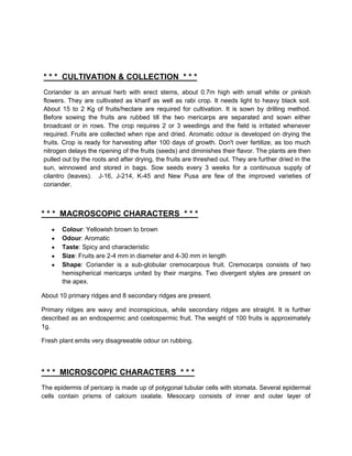 * * * CULTIVATION & COLLECTION * * *
Coriander is an annual herb with erect stems, about 0.7m high with small white or pinkish
flowers. They are cultivated as kharif as well as rabi crop. It needs light to heavy black soil.
About 15 to 2 Kg of fruits/hectare are required for cultivation. It is sown by drilling method.
Before sowing the fruits are rubbed till the two mericarps are separated and sown either
broadcast or in rows. The crop requires 2 or 3 weedings and the field is irritated whenever
required. Fruits are collected when ripe and dried. Aromatic odour is developed on drying the
fruits. Crop is ready for harvesting after 100 days of growth. Don't over fertilize, as too much
nitrogen delays the ripening of the fruits (seeds) and diminishes their flavor. The plants are then
pulled out by the roots and after drying, the fruits are threshed out. They are further dried in the
sun, winnowed and stored in bags. Sow seeds every 3 weeks for a continuous supply of
cilantro (leaves). J-16, J-214, K-45 and New Pusa are few of the improved varieties of
coriander.



* * * MACROSCOPIC CHARACTERS * * *
       Colour: Yellowish brown to brown
       Odour: Aromatic
       Taste: Spicy and characteristic
       Size: Fruits are 2-4 mm in diameter and 4-30 mm in length
       Shape: Coriander is a sub-globular cremocarpous fruit. Cremocarps consists of two
       hemispherical mericarps united by their margins. Two divergent styles are present on
       the apex.

About 10 primary ridges and 8 secondary ridges are present.

Primary ridges are wavy and inconspicious, while secondary ridges are straight. It is further
described as an endospermic and coelospermic fruit. The weight of 100 fruits is approximately
1g.

Fresh plant emits very disagreeable odour on rubbing.




* * * MICROSCOPIC CHARACTERS * * *
The epidermis of pericarp is made up of polygonal tubular cells with stomata. Several epidermal
cells contain prisms of calcium oxalate. Mesocarp consists of inner and outer layer of
 