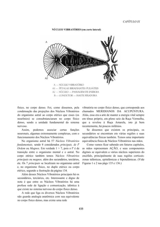 CAPÍTULO IX
NÚCLEO VIBRATÓRIO (em corte lateral)
físico, no corpo denso. Foi, como dissemos, pela
condensação das projeções dos Núcleos Vibratórios
do organismo astral ao corpo etérico que esses (os
neurônios) se consubstanciaram no corpo físico
denso, sendo a unidade fundamental do sistema
nervoso.
Assim, podemos associar certas funções
neuronais, algumas extremamente complexas, com o
funcionamento dos Núcleos Vibratórios.
No organismo astral há 57 Núcleos Vibratórios
fundamentais, sendo 8 considerados principais, de Ia
Ordem ou Magnos. Em verdade 1 + 7, pois o lº é de
transição entre o organismo mental e o astral. No
corpo etérico também temos Núcleos Vibratórios
principais ou magnos, além dos secundários, terciários,
etc. Os 7 principais se localizam no organismo astral
e, no organismo físico, no duplo etérico ou corpo
etérico, segundo a ilustração da página 134.
Além desses Núcleos Vibratórios principais há os
secundários, terciários, etc. Interessante e digno de
nota é que entre os Núcleos Vibratórios há uma
profusa rede de ligação e comunicação, idêntica à
que existe no sistema nervoso do corpo físico denso.
A rede que liga os diversos Núcleos Vibratórios
não guarda analogia anatômica com sua equivalente
no corpo físico denso, mas existe uma rede
vibratória no corpo físico denso, que corresponde aos
chamados MERIDIANOS DA ACUPUNTURA.
Aliás, essa era a arte de manter a energia vital sempre
em tônus próprio, em pleno seio da Raça Vermelha,
que a revelou à Raça Amarela, isto já bem
recentemente, há poucos milênios.
Se dissemos que existem os principais, os
secundários se encontram em várias regiões e suas
equivalências físicas também. Temos uma importante
equivalência física de Núcleos Vibratórios nas mãos.
Como vamos ficar sabendo em futuros capítulos,
as mãos representam AÇÃO, e seus componentes
digitais se equivalem a vários núcleos superiores do
encéfalo, principalmente de suas regiões corticais:
zonas talâmicas, epitalâmicas e hipotalâmicas. (Vide
Figuras 1 e 2 nas págs 135 e 136.)
133
 