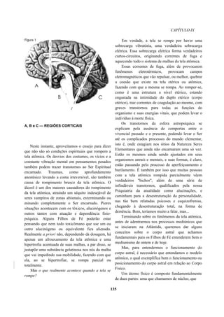 CAPÍTULO IX
A, B e C — REGIÕES CORTICAIS
Neste instante, aproveitamos o ensejo para dizer
que não são só condições espirituais que rompem a
tela atômica. Os desvios dos costumes, os vícios e a
constante vibração mental em pensamentos pesados
também podem trazer transtornos ao Ser Espiritual
encarnado. Traumas, como aprofundamento
anestésico levando a coma irreversível, são também
causa de rompimento brusco da tela atômica. O
álcool é um dos maiores causadores do rompimento
da tela atômica, atraindo um séquito indesejável de
seres vampiros de zonas abismais, exterminando ou
minando completamente o Ser encarnado. Piores
situações acontecem com os tóxicos, alucinógenos e
outros tantos com atuação e dependência fisio-
psíquica. Alguns Filhos de Fé poderão estar
pensando que nem todo toxicômano que use um ou
outro alucinógeno ou equivalente fica alienado.
Realmente a priori não, dependendo da dosagem, há
apenas um afrouxamento da tela atômica e uma
hipertrofia acentuada de suas malhas, a par disso, se
justapõe uma substância gelatinosa nos nós da malha
que vai impedindo sua mobilidade, fazendo com que
ela, ao se hipertrofiar, se rompa parcial ou
totalmente.
Mas o que realmente acontece quando a tela se
rompe?
Em verdade, a tela se rompe por haver uma
sobrecarga vibratória, uma verdadeira sobrecarga
elétrica. Essa sobrecarga elétrica forma verdadeiros
curtos-circuitos, originando correntes de fuga e
aquecendo todo o sistema de malhas da tela atômica.
Essas correntes de fuga, além de provocarem
fenômenos eletrotérmicos, provocam campos
eletromagnéticos que vão repulsar, ou melhor, quebrar
a coesão que existe na tela etérica ou atômica,
fazendo com que a mesma se rompa. Ao romper-se,
como é uma estrutura a nível etérico, estando
engastada na intimidade do duplo etérico (corpo
etérico), traz correntes de coagulação ao mesmo, com
graves transtornos para todas as funções do
organismo e suas energias vitais, que podem levar o
indivíduo à morte física.
Os transtornos da esfera astropsíquica se
explicam pela ausência de comportas entre o
vivencial passado e o presente, podendo levar o Ser
até os complicados processos do mundo elementar,
isto é, onde estagiam nos sítios da Natureza Seres
Elementares que ainda não encarnaram uma só vez.
Estão os mesmos ainda sendo ajustados em seus
organismos astrais e mentais, e suas formas, é claro,
estão passando pelo processo de aperfeiçoamento e
burilamento. É também por isso que muitas pessoas
com a tela atômica rompida parcialmente vêem
verdadeiros "bichos", além de uma série de
infindáveis transtornos, qualificados pela nossa
Psiquiatria da atualidade como alucinações, e
caminham para a desestruturação da personalidade,
nas tão bem relatadas psicoses e esquizofrenias,
chegando à desestruturação total, na forma de
demência. Bem, teríamos muito a falar, mas...
Terminando sobre os fenômenos da tela atômica,
antes de adentrarmos nos processos mediúnicos que
se iniciaram na Atlântida, queremos dar alguns
conceitos sobre o corpo astral que achamos
fundamentais para os Filhos de Fé entenderem bem o
mediunismo de ontem e de hoje.
Mas, para entendermos o funcionamento do
corpo astral, é necessário que entendamos o modelo
atômico, o qual exemplifica bem o funcionamento ou
posicionamento do corpo astral em relação ao Corpo
Físico.
Um átomo físico é composto fundamentalmente
de duas partes: uma que chamamos de núcleo, que
135
 