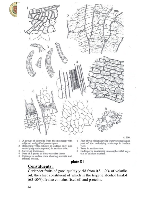 Umbelliferous fruits