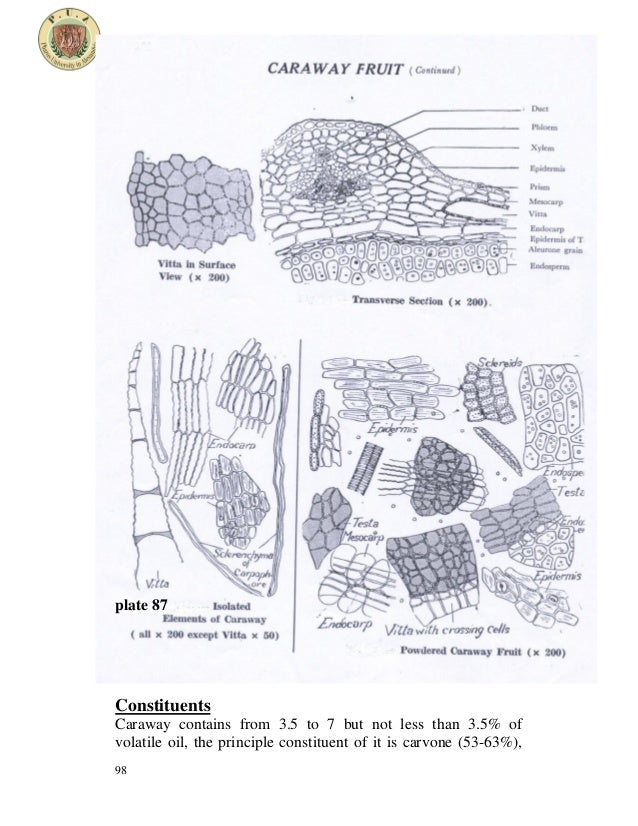 Umbelliferous fruits