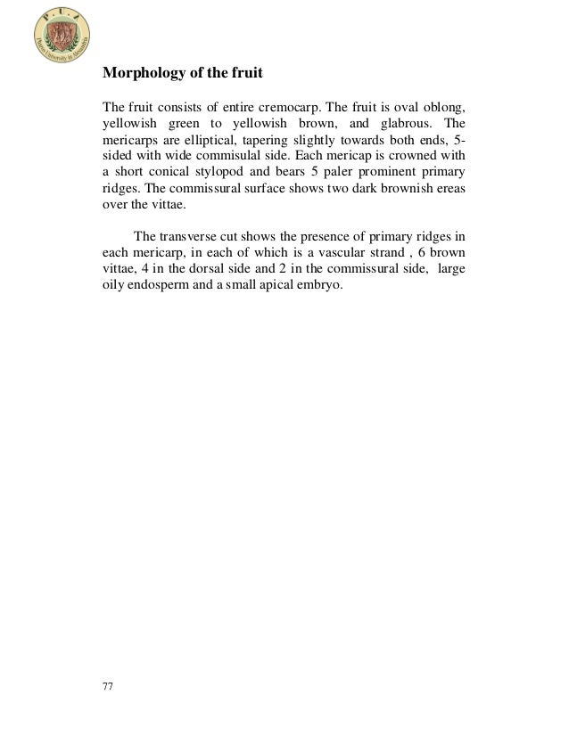 Umbelliferous fruits