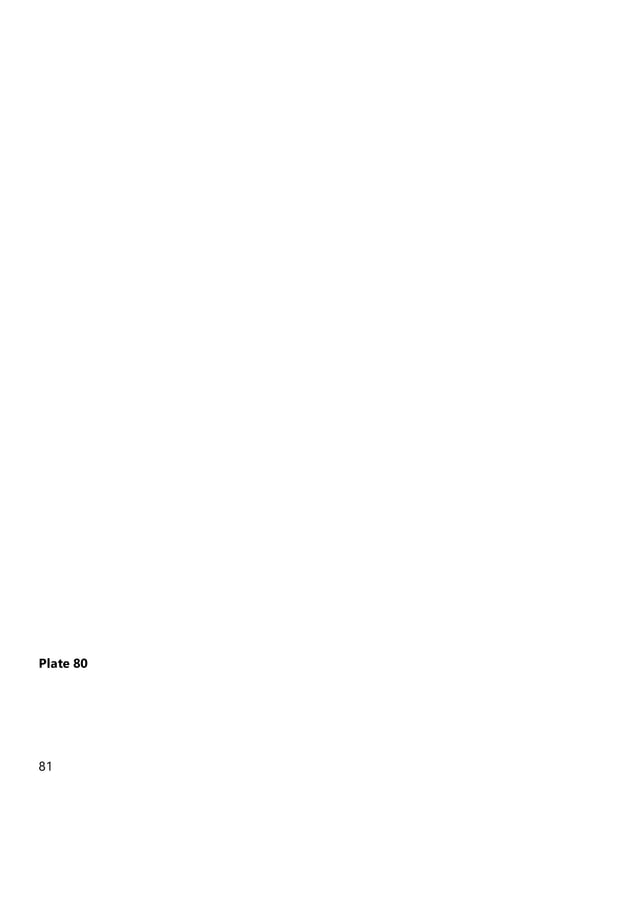 Umbelliferous fruits PDF