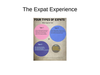The Expat Experience
 