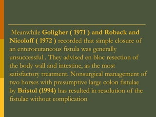 Meanwhile Goligher ( 1971 ) and Roback and
Nicoloff ( 1972 ) recorded that simple closure of
an enterocutaneous fistula was generally
unsuccessful . They advised en bloc resection of
the body wall and intestine, as the most
satisfactory treatment. Nonsurgical management of
two horses with presumptive large colon fistulae
by Bristol (1994) has resulted in resolution of the
fistulae without complication

 