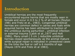 Introduction
Umbilical hernias are the most frequently
encountered equine hernia that are mostly seen in
female and occur in 0.5 to 2 % of all horses (Peyton
1981 and Fretz et al., 1983). Congenital umbilical
hernias are common defect in calves and foals while
acquired hernia has been attributed to traction of
the umbilicus during parturition , umbilical infection
or external trauma (Labik et al.,1977 and Holt
1986). Many small ( 5 cm ) reducible umbilical
hernias closed spontaneously as the animal mature
while surgical repair is indicated in unresolved cases
by the time the foal or calf is 6 months of age
(Hayes 1974 and Fretz et al 1983).

 