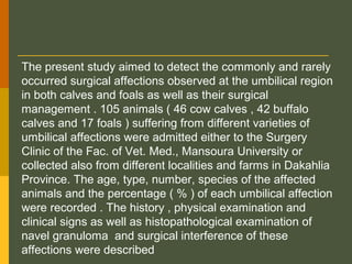 The present study aimed to detect the commonly and rarely
occurred surgical affections observed at the umbilical region
in both calves and foals as well as their surgical
management . 105 animals ( 46 cow calves , 42 buffalo
calves and 17 foals ) suffering from different varieties of
umbilical affections were admitted either to the Surgery
Clinic of the Fac. of Vet. Med., Mansoura University or
collected also from different localities and farms in Dakahlia
Province. The age, type, number, species of the affected
animals and the percentage ( % ) of each umbilical affection
were recorded . The history , physical examination and
clinical signs as well as histopathological examination of
navel granuloma and surgical interference of these
affections were described

 