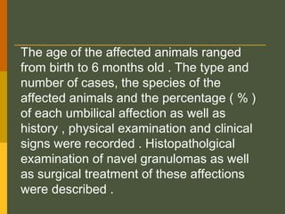 The age of the affected animals ranged
from birth to 6 months old . The type and
number of cases, the species of the
affected animals and the percentage ( % )
of each umbilical affection as well as
history , physical examination and clinical
signs were recorded . Histopatholgical
examination of navel granulomas as well
as surgical treatment of these affections
were described .

 